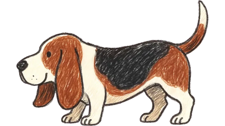 Waldo, basset hound